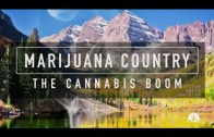 Marijuana Country: The Cannabis Boom (2015)