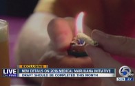 Medical marijuana 2016 ballot initiative should be drafted by the end of the month