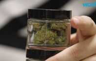 Oregon to Open Drive-Thru Marijuana Store