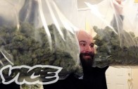 The Cash Crop: Canadian Cannabis