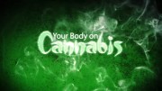 Your Body on Cannabis (New Documentary)