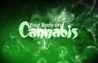 Your Body on Cannabis (New Documentary)