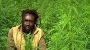 JAMAICA CANNABIS 2015 – Everything about: Weed, Marijuana, Ganja (Full Documentary HD) ☮ FREEDOM TV