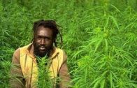 JAMAICA CANNABIS 2015 – Everything about: Weed, Marijuana, Ganja (Full Documentary HD) ☮ FREEDOM TV