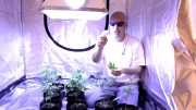 Marijuana Garden Rescue | Why Most Growers Fail | Troubleshooting Jason Garden