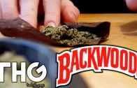 ROLLIN’ UP A BACKWOODS!! – THG