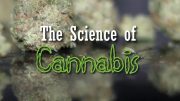 The Science of Cannabis (Documentary)