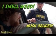 what to do when the cops smell weed!